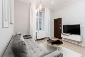 salon z kanapą i telewizorem w obiekcie Wrzesińska Luxury Apartment w Krakowie