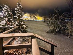 a snow covered christmas tree and a wooden fence at Villa Alppihimos - 6 henkilölle, Keski-Himos, 45m² + 33m² in Jämsä