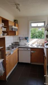 Kuchyň nebo kuchyňský kout v ubytování Blue House B&B