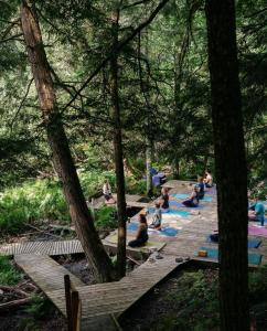 grupa ludzi uprawiających jogę w lesie w obiekcie Auberge Yoga Salamandre w mieście Lac-Brome