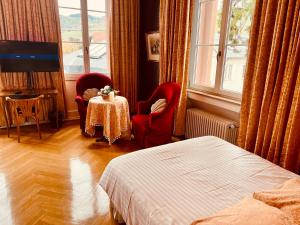 TV a/nebo společenská místnost v ubytování Hôtel Le Manoir