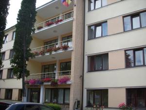 un edificio de apartamentos con flores en los balcones en Hotel Decebal, en Brasov