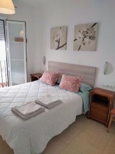 Postel nebo postele na pokoji v ubytování Apartamento Grande Centrico