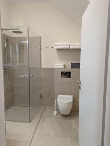 uma casa de banho com uma cabina de duche em vidro e um WC. em Luxurious & lovely apartment with infrared cabine em Prüfingberg