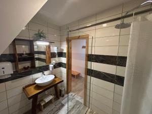 a bathroom with a sink and a glass shower at Rustic Lodge Plitvice 1 in Plitvička Jezera