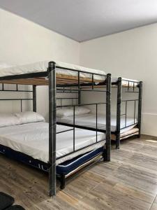 - deux lits superposés installés dans une chambre avec une hritisthritisthritisthritisthrite dans l'établissement Finca Nirvana., à Agua de Dios