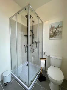 ein Bad mit einer Dusche und einem WC in der Unterkunft Gemütliche und charmante Ferienwohnung in der schönen Rattenfängerstadt Hameln in Hameln