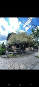 a building with a tree in front of it at Apartamento no centro in Canela