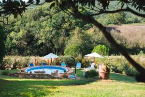 una piscina con sillas y sombrillas en un patio en Agriturismo Podere Ristella - Wine&Food, en Montemassi