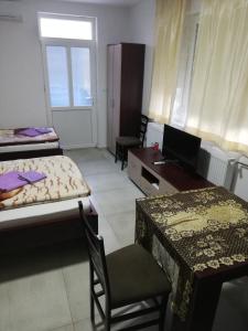 a room with two beds and a desk and a television at Apartment Delfina in Ohrid