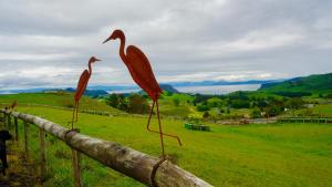 two flamingos standing on a fence in a field at Hilltop Whakaipo Estate in Taupo