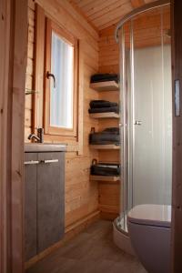 a bathroom with a shower and a toilet and a sink at Holiday Hut in Bornerbroek