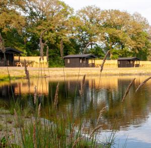 BornerbroekにあるHoliday Hutの建物を背景に湖を望む