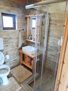 y baño con ducha, lavabo y aseo. en Vila Planinski san 1, en Zaovine
