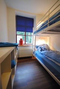 1 Schlafzimmer mit 2 Etagenbetten und einem Fenster in der Unterkunft Ferienwohnungen Meerwiefke in Leer