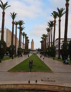a park with palm trees and people walking on a sidewalk at Rabat center studio in Rabat