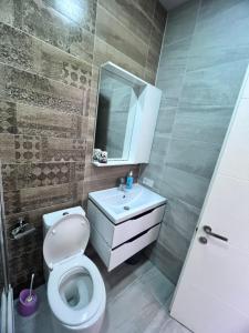 提比里斯的住宿－Sophio House in Gagarini，一间带卫生间、水槽和镜子的浴室