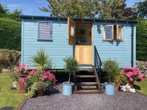 a blue tiny house with plants in front of it at Shepherds Hut in the Hills - Nr. Mold in Nannerch