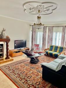 a living room with a shark bowl on a rug at LouriVillage in Lourinhã