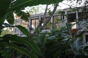 un edificio con un montón de plantas delante de él en El Valle Villas, en Santa Bárbara de Samaná