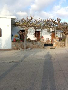 a shadow of a person standing in front of a building at house FYNTIKAKH - SKALA in Anopoli Sfakion