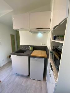 une petite cuisine avec un évier et un réfrigérateur dans l'établissement Studio en Rez de jardin Le clos des Cent Vignes à Beaune, à Beaune