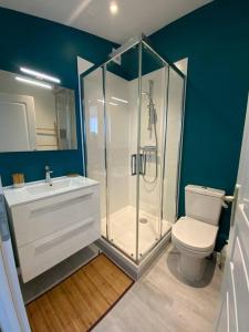 une salle de bains avec douche, toilettes et lavabo dans l'établissement Studio en Rez de jardin Le clos des Cent Vignes à Beaune, à Beaune