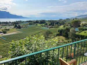 een uitzicht op een wijngaard vanaf het balkon van een huis bij La Vigneronne, Chailly-Montreux in Montreux