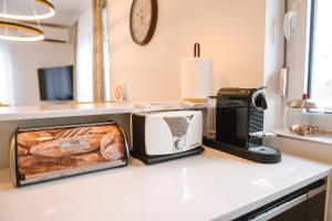 eine Küchentheke mit einem Toaster, einem Toaster und einem Toaster in der Unterkunft Nika apartman in Surčin