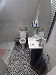 a bathroom with a toilet and a sink and a mirror at Country Haven eircode H54 AK31 in Galway
