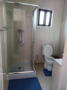 a bathroom with a shower and a toilet at Casa dos Arcos in Gueima