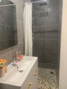 a bathroom with a white sink and a shower at Charmante petite maison in Maubeuge