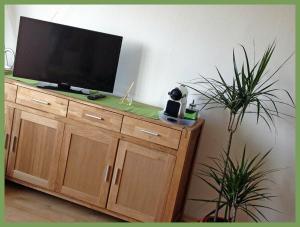 a television on top of a wooden cabinet with a plant at Apartment SONNE - Gute-Nacht-Braunschweig in Braunschweig