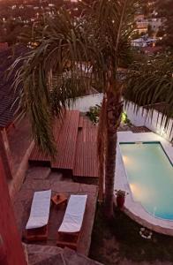 un palmier installé à côté d'une piscine dans l'établissement Chalet " La Maruca ", à Villa Carlos Paz