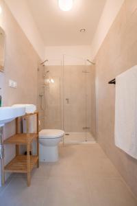 uma casa de banho com um chuveiro, um WC e um lavatório. em Balasana - dom na wyłączność em Szklarska Poręba