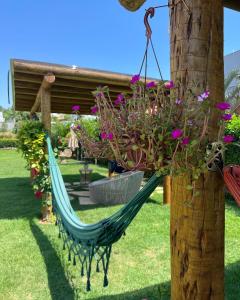 a hammock in a garden with flowers at Pousada Viver Capitólio in Capitólio