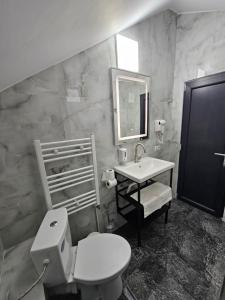 y baño con aseo, lavabo y espejo. en PERFECT VILLA Ploiesti, en Ploieşti