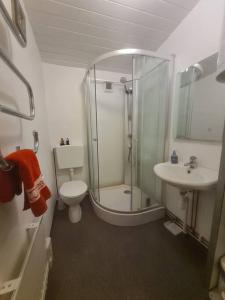 a bathroom with a shower and a toilet and a sink at Idyllic vacation home near lake: nature&fireplace in Stöde