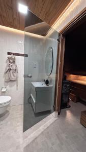 y baño con aseo, lavabo y espejo. en Guesthouse with sauna & hot tub en Nokia