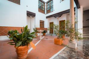 een binnenplaats met potplanten in een gebouw bij QH Gran Via 01 in Granada