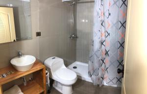 uma casa de banho com um WC, um lavatório e um chuveiro em mirabosque new aparments 2 em Osorno