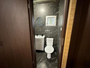 Tiny house v Moravském Berouně的一间浴室