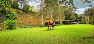 Billede fra billedgalleriet på Finca La Hacienda i El Retiro