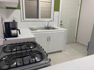 a stove top in a kitchen with a sink at Céntrico Apartamento in Santa Rosa de Copán