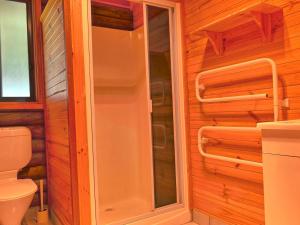 y baño con aseo y ducha acristalada. en Cabin 4 - Snowy Accommodation, en Adaminaby