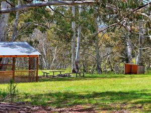 un refugio de picnic y mesas de picnic en un parque en Cabin 4 - Snowy Accommodation, en Adaminaby