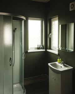 een badkamer met een douche en een wastafel bij Green Valley vacation homes in Žocenes Ciems