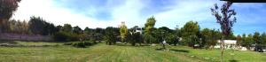 a field with trees and a building in the background at Villaggio Sant'Andrea in Vieste