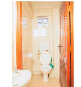 ein Badezimmer mit einem weißen WC und einem Waschbecken in der Unterkunft @princess Dee in Meru