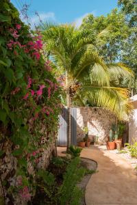 a garden with a palm tree and pink flowers at Casa Cactus Buenavista in Bacalar